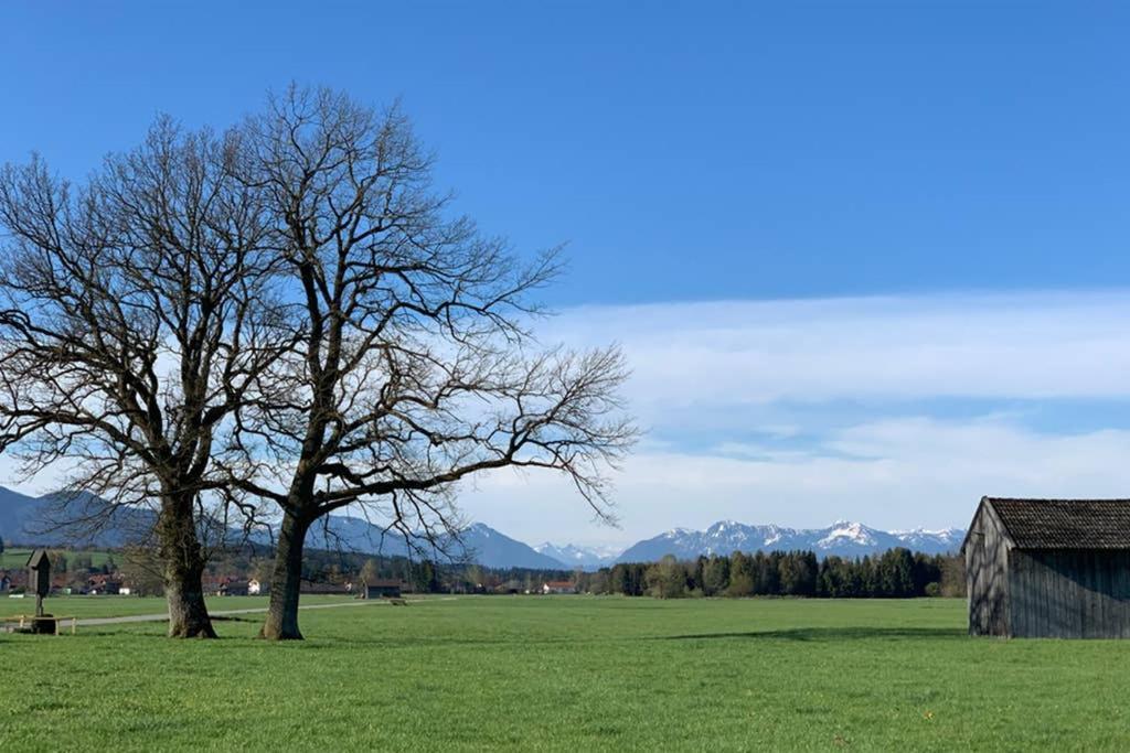 Ferienhaus Koenigsdorf - Urlaub Im Toelzer Land Konigsdorf Dış mekan fotoğraf